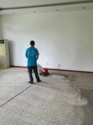 如何去除地毯上的乳胶漆